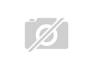 Energie Kostenvoranschlag Beratung Gutachten